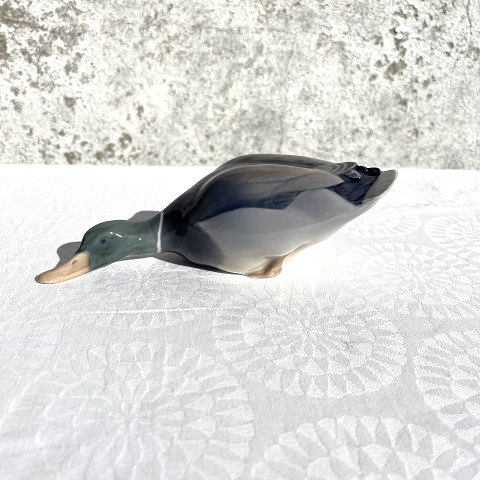 Royal Copenhagen
Gray duck
#1934
*DKK 600