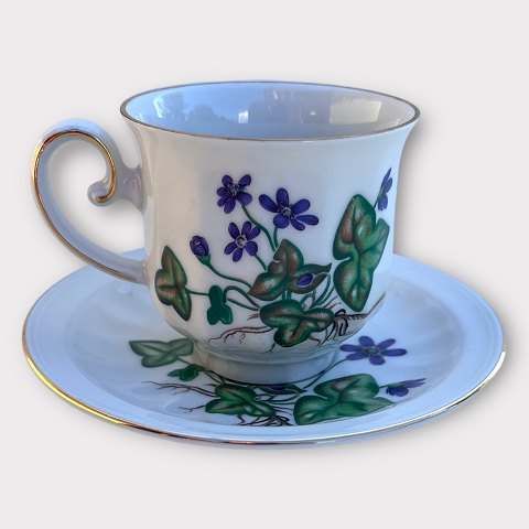 Firkløveren
Carl von Linné
Coffee cup
*DKK 60