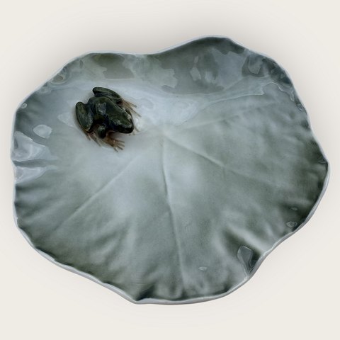 Royal Copenhagen
Laubfrosch auf Blatt
#2477
*675 DKK