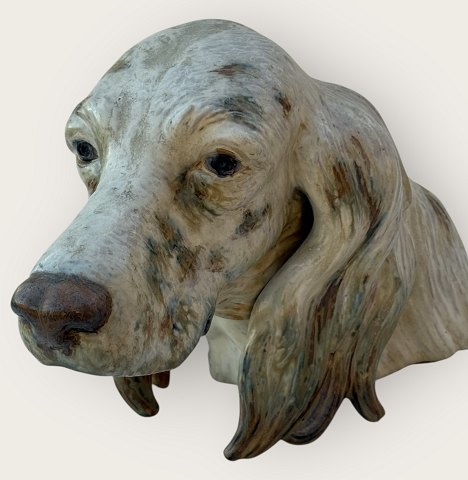 LladroEnglish SetterLarge Bust of HeadDKK 2200