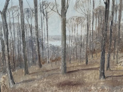 Jørn GlobTræer ved sø1400kr