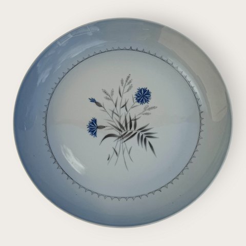 Bing & GrøndahlKornblomstRundt serveringsfad#20*275kr