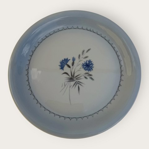 Bing & GrøndahlKornblomstLille serveringsfad#101*150kr