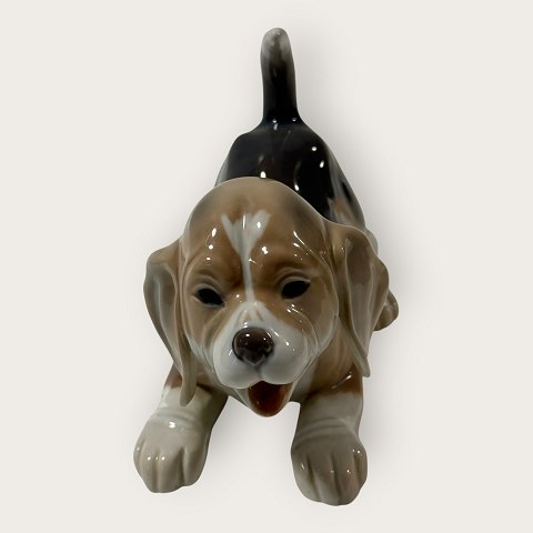 Bing & GrøndahlBeagle hvalp#2564*475kr