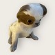 Royal Copenhagen
Pekingese puppy
# 1453/448
DKK 650