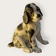 Keramos WienCocker Spaniel*375kr